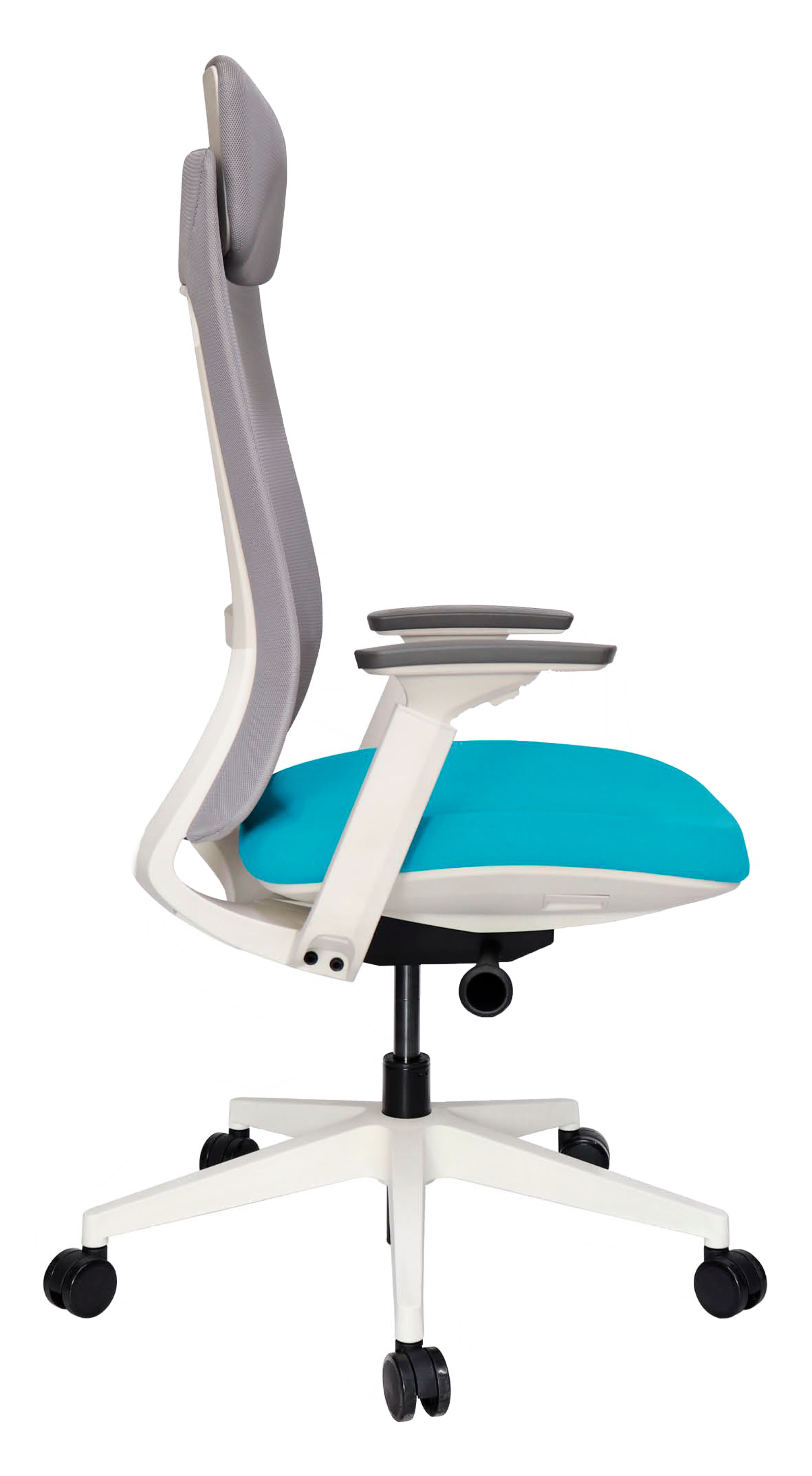 ImagenesOHE-805blanco-3