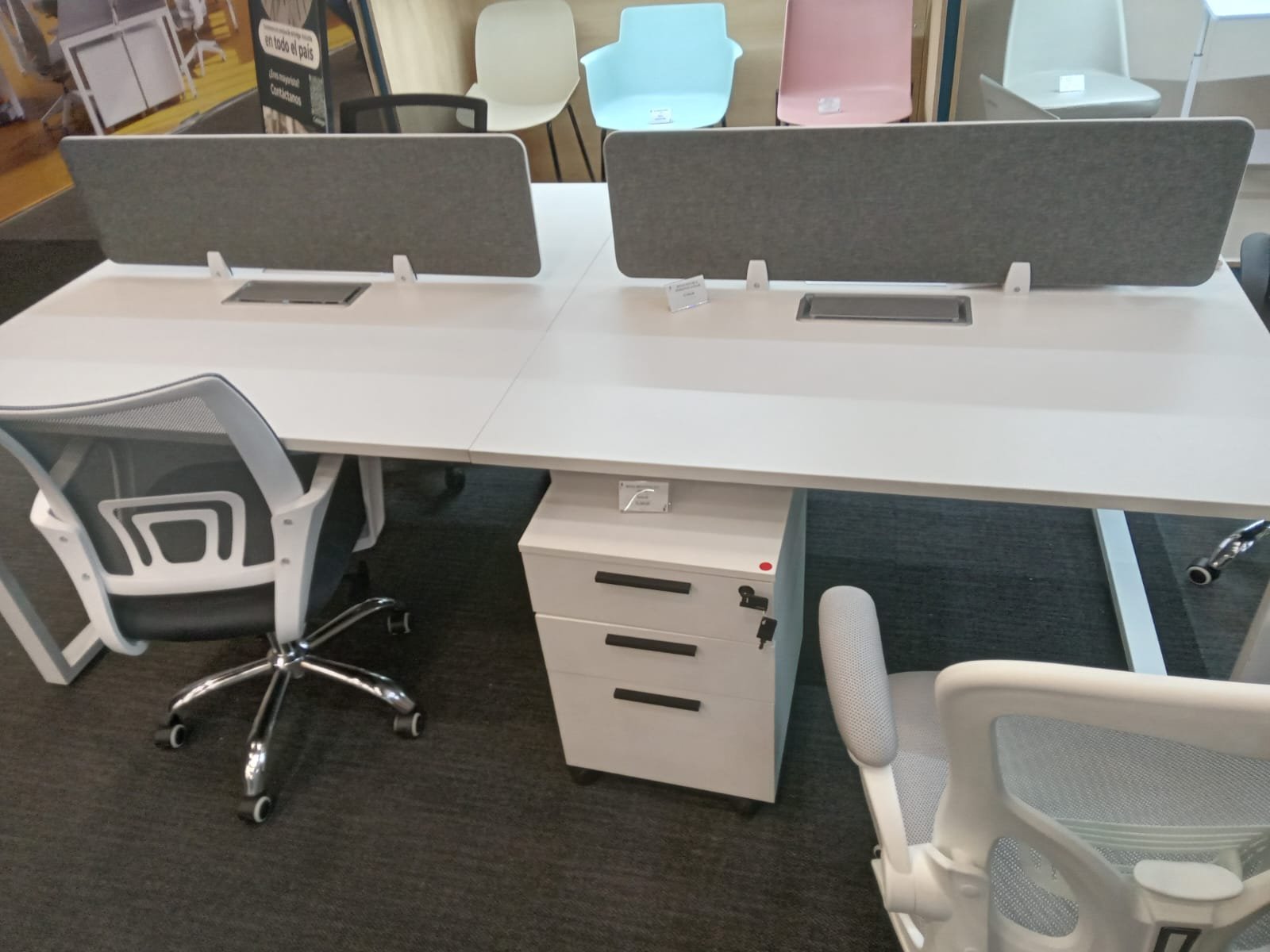 WhatsAppImage2024-02-29at18.53.10_2